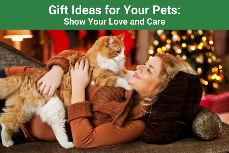 Gift Ideas for Your Pets Show Your Love and Care New