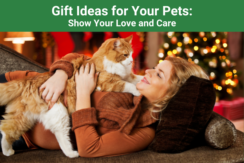 Gift Ideas for Your Pets Show Your Love and Care New