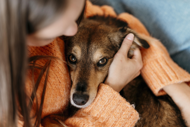 in home euthanasia