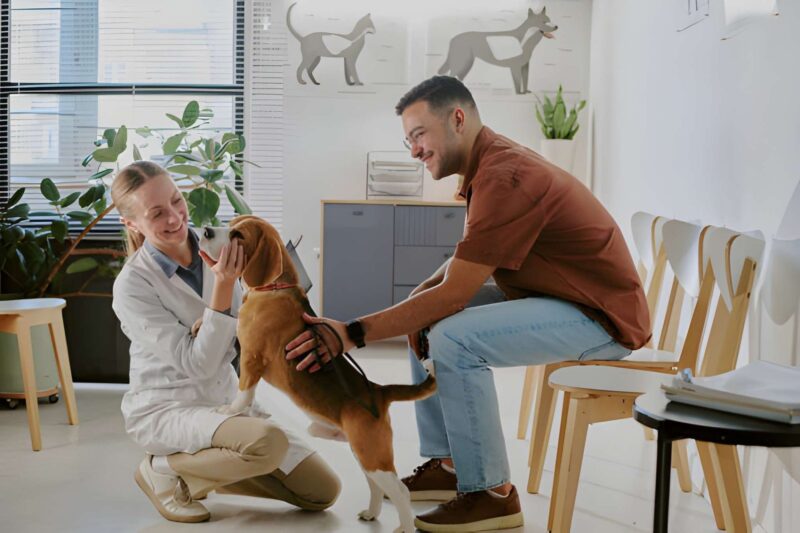 Quality of Life for Dogs and Cats