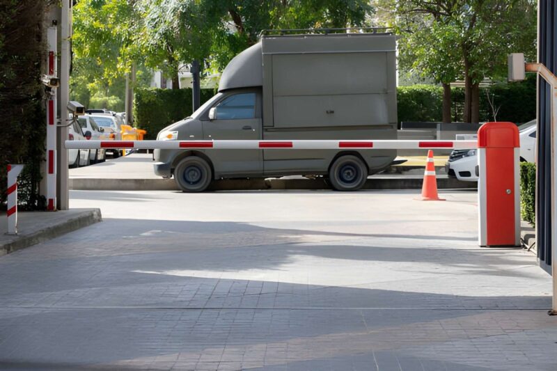 Pet Transportation Service
